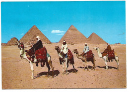 ARAB CAMELRIDERS IN FRONT OF THE PYRAMIDS.-  GIZA.-  ( EGYPT / EGIPTO ) - Gizeh