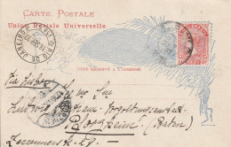 Brésil Entier Postal Illustré Pour L'Allemagne 1892 - Entiers Postaux