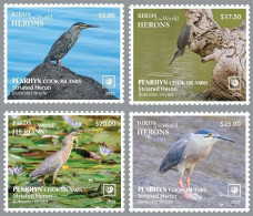Penrhyn 2023, Birds, Henron, 4val - Palmípedos Marinos