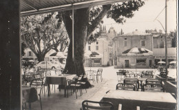 CPSM 84   MALAUCENE HOTEL DU SIECLE LES TERRASSES  AUTOS  PETIT FORMAT - Malaucene