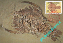 LIBYA 1996 Fossils "Eyron Arctiformis" (maximum-card) #3 - Fossili