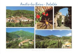 AMELIE LES BAINS PALALDA - MULTI VUES - Amélie-les-Bains-Palalda