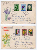 Yugloslavia JUGOSLAVIA  1963 FDC First Day Cover  FLORA - Flowers  CUMIN IRIS CANTARION - - Storia Postale