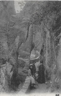 Amélie-les-Bains-Palalda. Promenade Dans Les Gorges Du Mondony Et Rocher Castellane - Amélie-les-Bains-Palalda