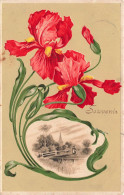 FLEURS PLANTES ARBRES - Fleurs  - Tulipe Dragonne - Campagne - Eglise - Cadre -  Carte Postale Ancienne - Bloemen