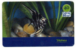 Poisson Fisch Fish Pez Pesce Télécarte Brésil Phonecard  (salon 484) - Brésil