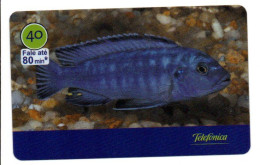 Poisson Fisch Fish Pez Pesce Télécarte Brésil Phonecard  (salon 485) - Brésil