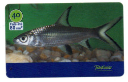 Poisson Fisch Fish Pez Pesce Télécarte Brésil Phonecard  (salon 486) - Brésil