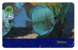 Poisson Fisch Fish Pez Pesce Télécarte Brésil Phonecard  (salon 487) - Brésil