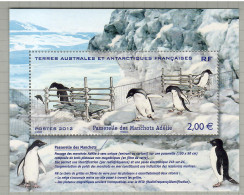 TAAF 2012, Bird, Birds, Penguin, M/S, MNH** - Pingouins & Manchots