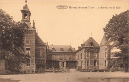 BELGIQUE - Engis - Hermalle Sous Huy - Le Château Vu De Face - Carte Postale Ancienne - Engis