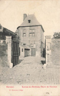 BELGIQUE - Herstal - Ruines Du Château Pépin De Herstal - Carte Postale Ancienne - Herstal