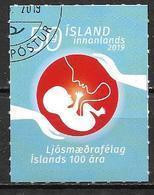 Islande 2019 Timbre Oblitéré 100 Ans De L'association Des Sages Femmes - Gebraucht