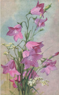 FLEURS PLANTES - Fleurs - Campanule - Violettes - Carte Postale Ancienne - Fleurs