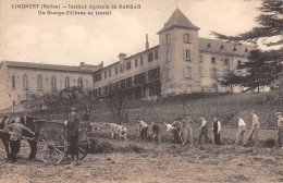 CPA 69 LIMONEST / INSTITUT AGRICOLE DE SANDAR / UN GROUPE D'ELEVES AU TRAVAIL - Autres & Non Classés