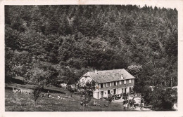 FRANCE - Ribeauvillé - Ferme Saint-Nicolas - Carte Postale Ancienne - Ribeauvillé