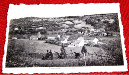 VIEUXVILLE  -  Panorama - Ferrieres