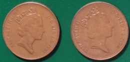GRAN BRETAGNA  1993-94 TWO PENCE - 2 Pence & 2 New Pence