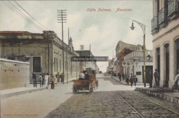 PARAGUAY ASUNCION CALLE PALMAS ED. GRUTER AÑO 1907 - Paraguay