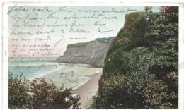 Shanklin : View From Foot Of Chine (Peacock Series) - Shanklin