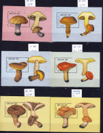 Bhoutan 12 Feuillets Champignons, Série Complète, Neufs Impeccables ** , Pilze,  Setas, Mushroom - Pilze