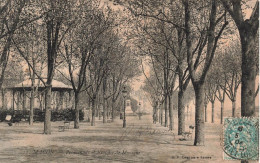 FRANCE - Macon - Promenade Et Kiosque De Musique - Carte Postale Ancienne - Macon