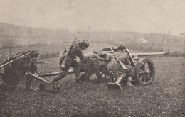 1943 Yugoslav Partizans Artillery , Podgrmeč Bosnia - Yougoslavie