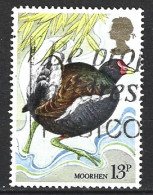 GRANDE-BRETAGNE. N°924 Oblitéré De 1980. Poule D'eau. - Gru & Uccelli Trampolieri