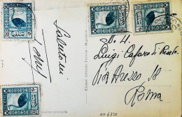 ITALIA - SOMALIA AFIS Cartolina Da GARDO  1950 - S6021 - Somalië (AFIS)