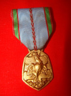 Médaille Commémorative Française De La Guerre ( 1939-1945) - Frankreich