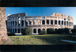 Postcard Italy Rome Colosseum - Colisée