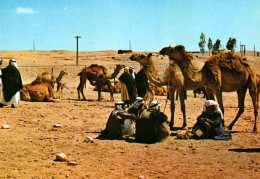 19696  AT THE MARKET DAY    ( 2 Scans) - Israel