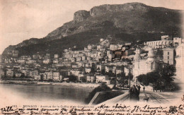 CPA - MONACO - Avenue De La Costa Et La Condamine - Edition MTIL - La Condamine