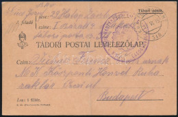 1915 Tábori Posta Levelezőlap "M.KIR. 29/IV. HADTÁPZÁSZLÓALJ I. SZÁZADPARANCSNOKSÁG" + "FP 318" - Other & Unclassified