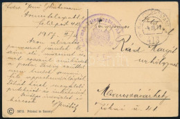 1917 Tábori Posta Képeslap "K.u.k. Armee-Telegraphen Abteilung Nr.3." + "FP 413 B" - Otros & Sin Clasificación