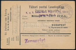 1918 Tábori Posta Levelezőlap "K.u.k. Feldartillerie Regiment Nr. 50. - Batterie No.2." + "FP 530 A" - Other & Unclassified