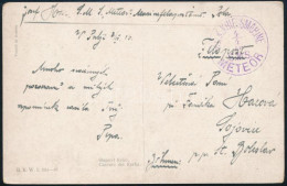 1916 Tábori Posta Képeslap "S.M.S. METEOR" - Andere & Zonder Classificatie