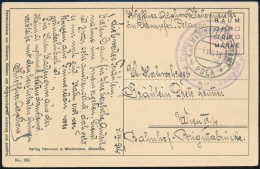 1916 Tábori Posta Képeslap "K.u.k. Kriegsmarine S.M. Dampfer Pelagosa" - Autres & Non Classés