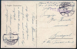 1917 Tábori Posta Képeslap "K.u.K. SEEFLUGSTATION" + "ZELENIKA" - Autres & Non Classés