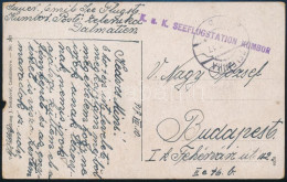 1917 Tábori Posta Képeslap "K.u.K. SEEFLUGSTATION KUMBOR" - Autres & Non Classés