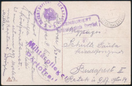 1917 Tábori Posta Képeslap "K.u.K. RESERVESPITAL LUKAVAC" Lila Bélyegzéssel - Other & Unclassified