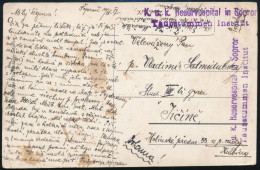 1917 Tábori Posta Képeslap (Sopron Erzsébetkerti Részlet) "K.u.k. Reservespital In Sopron" Lila Bélyegzéssel - Otros & Sin Clasificación