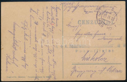 1918 Tábori Posta Képeslap "K.u.K. Reseverspital "Karansebes" In M(ostar)" Kék Bélyegzéssel - Other & Unclassified