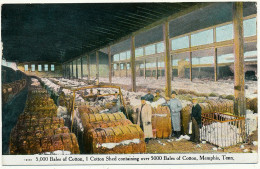 MEMPHIS, TN  - 5000 Bales Of Cotton - Memphis