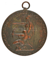 1926. "Budapest Székesfővárosi Levente Egyesületek" Bronz Díjérem, Füllel, Hátoldalán "X. Ker. Levente Verseny - 1926. V - Unclassified