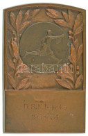 1934. "DSK I. 1935" Bronz Tenisz Díjplakett (99x64mm) T:AU,XF Kis Patina - Unclassified