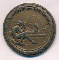 1942. "Vízművek Sport és Önképző E. - V.S.Ö.E." Bronzozott Fém Sportérem "V.S.Ö.E. Színes Bemutató 1942" Gravírozással.  - Sin Clasificación