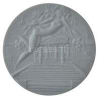 NDK DN "Schwerini Múzeuzm 100 éves" Kétoldalas Kerámia Emlékérem Meisseni Porcelánmanufaktúra Gyártói Jelzésével (59mm)  - Unclassified