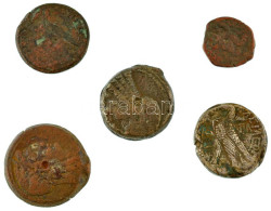 Ptolemaida Egyiptom Kr. E. III. Század 5db-os Bronz érmetétel, Közte 2db (utólag?) Ezüstözött érme T:F,VG Ptolemaic Egyp - Zonder Classificatie