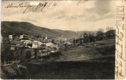 T3 1907 Abrudbánya, Abrud; Látkép / General View (ázott Sarok / Wet Corner) - Zonder Classificatie